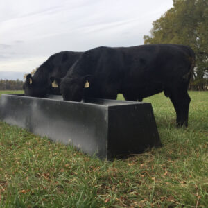Feed Bunk 10'
