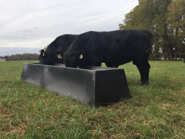 Feed Bunk 10'
