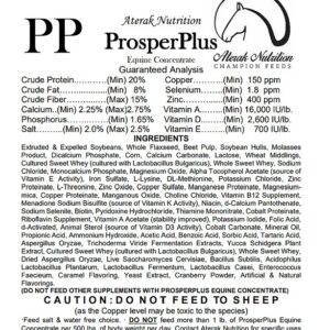 Prosper Plus Equine Feed