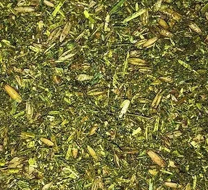 Radiance Equine Feed