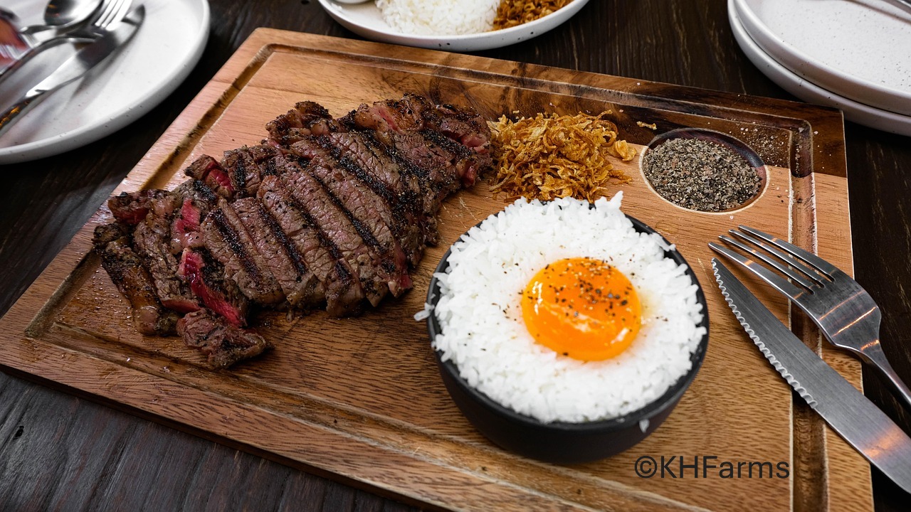 testosterone-repair-with-carnivore-diet2 testosterone-repair-with-carnivore-diet2
